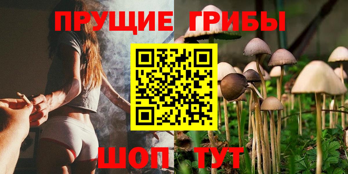 Торжок  Галлюциногенные грибы мухоморы  Вход с VPN  Галлюциногенные грибы Magic Shrooms 